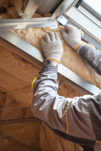 Best Insulation for Specific Applications in Winter Gardens, CA
